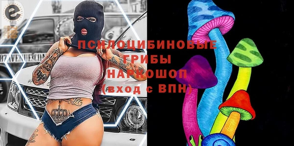 дмт Абаза