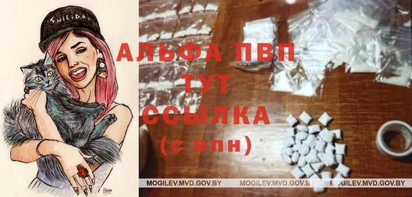 спиды Абдулино