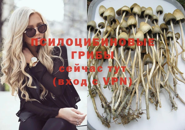 дмт Абаза
