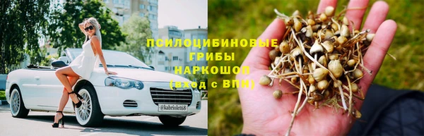 дмт Абаза